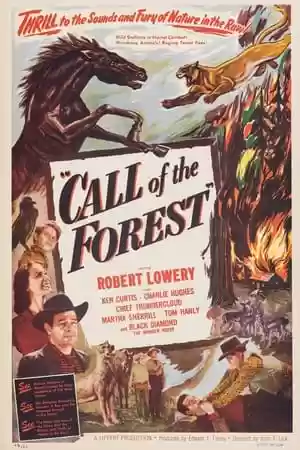 Call of the Forest Movie