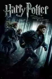 Harry Potter and the Deathly Hallows: Part 1 Movie