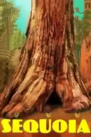Sequoia Movie