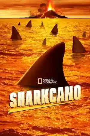 Sharkcano Movie