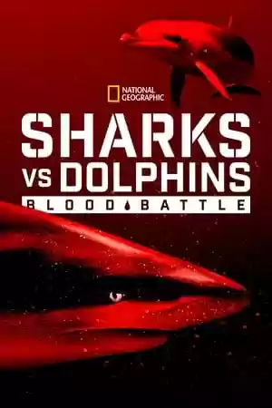 Sharks vs. Dolphins: Blood Battle Movie