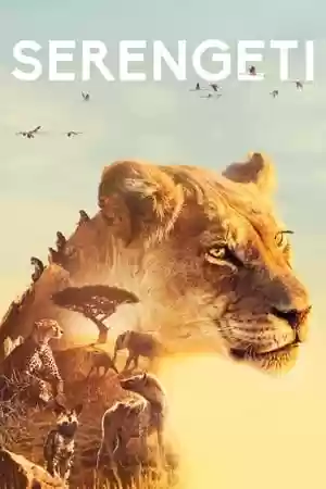 Serengeti TV Series