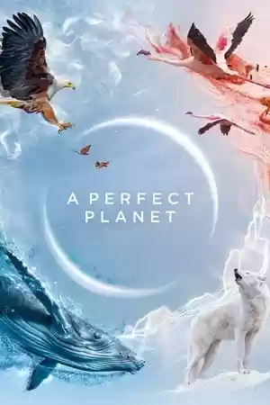 A Perfect Planet TV Series