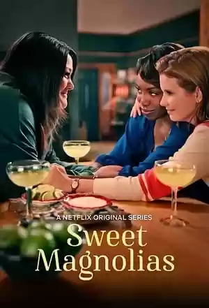 Sweet Magnolias TV Series