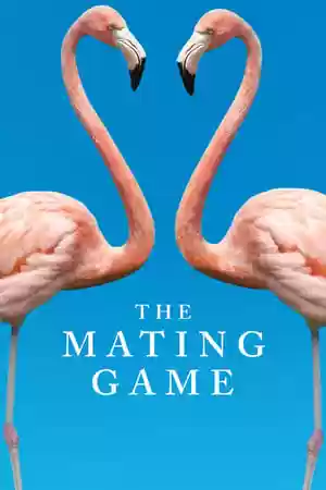 The Mating Game Season 1 Episode 1