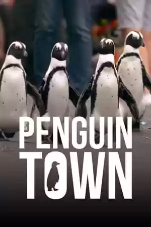 Penguin Town TV Series