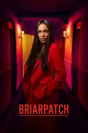 Briarpatch TV Series