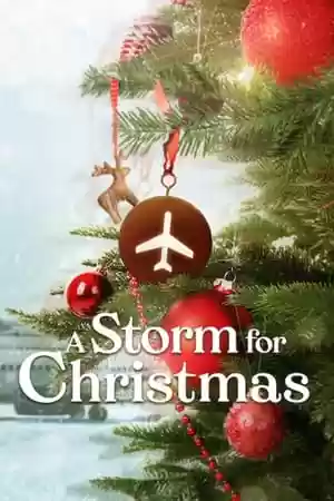 A Storm for Christmas TV Series