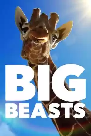 Big Beasts TV Series