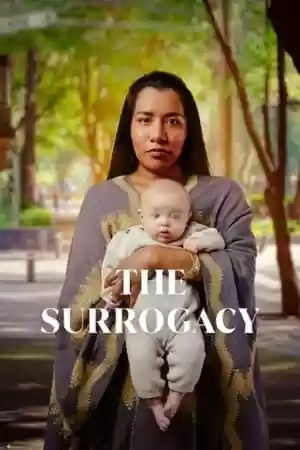 The Surrogacy TV Series