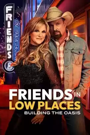 Friends in Low Places TV Series