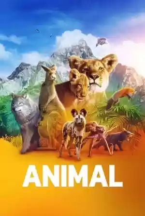 Animal TV Series