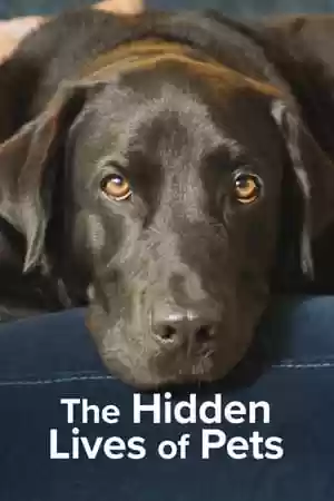 The Hidden Lives of Pets TV Series