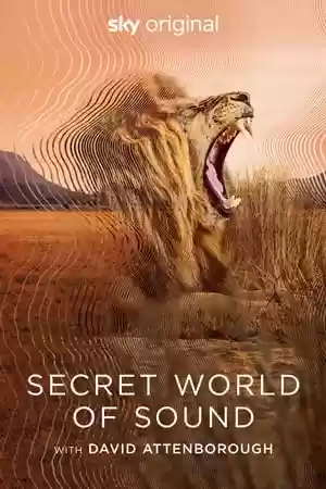 Secret World of Sound with David Attenborough TV Series