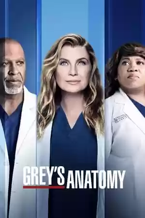 Grey’s Anatomy TV Series