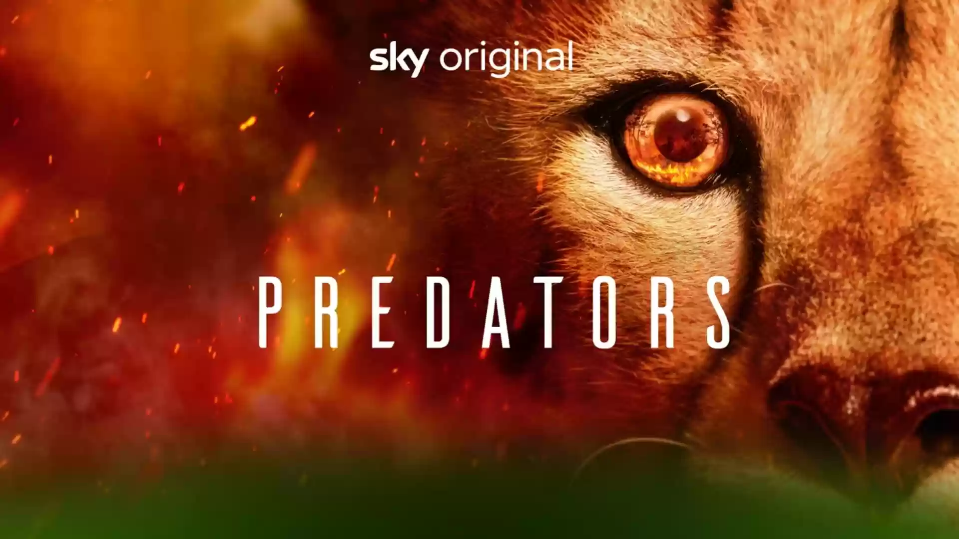 Predators TV Series