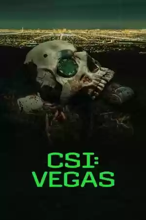 CSI: Vegas TV Series
