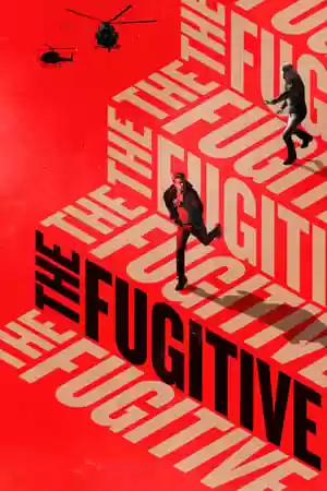 The Fugitive TV Series