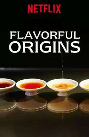 Flavorful Origins TV Series