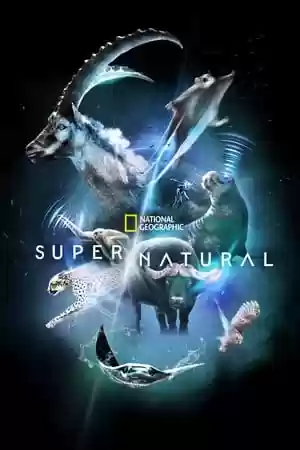 Super/Natural TV Series