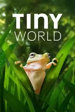Tiny World TV Series