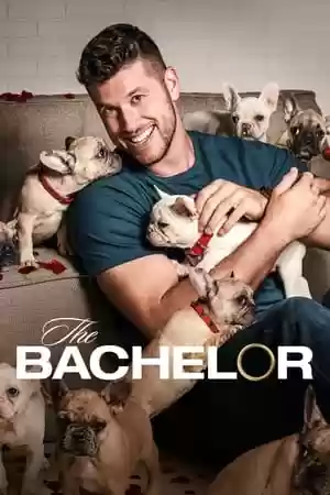 The Bachelor TV Series